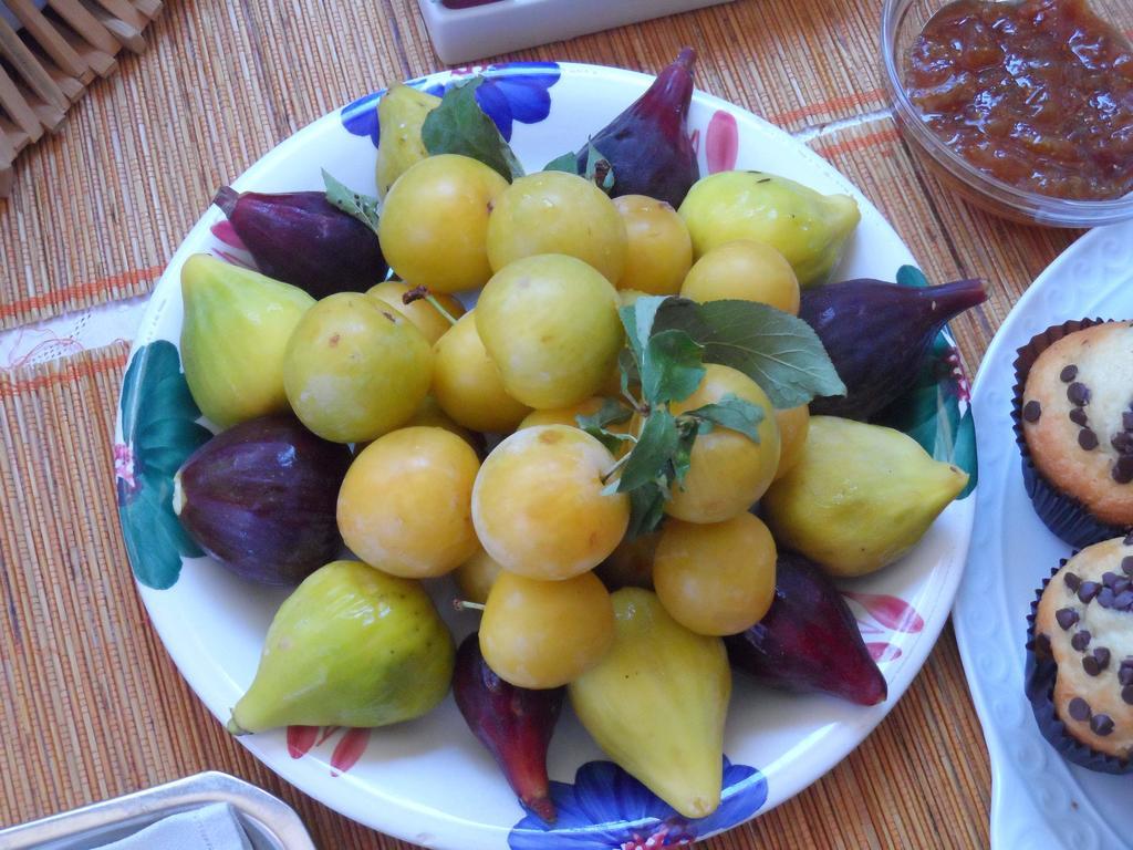 B&B Santa Venardia Gallipoli Eksteriør billede